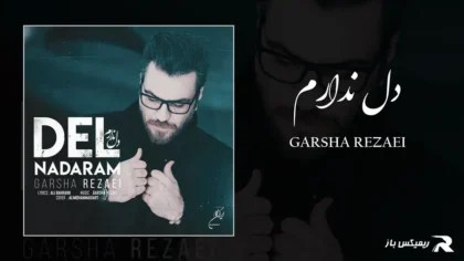 دانلود آهنگ دل ندارم از گرشا رضایی