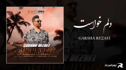 دانلود آهنگ دلم خواست از گرشا رضایی
