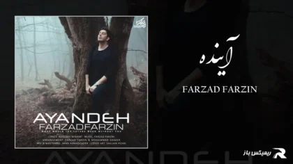 فرزاد فرزین - آینده