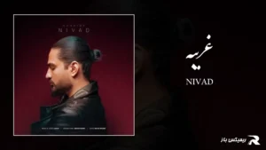 دانلود آهنگ غریبه از نیواد