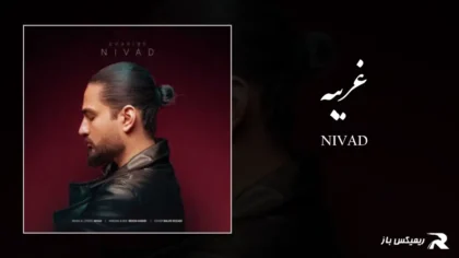 دانلود آهنگ غریبه از نیواد
