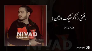 دانلود آهنگ رفتنی ( آکوستیک ورژن ) از نیواد