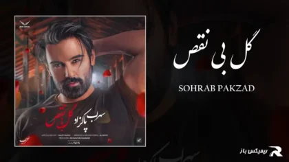 سهراب پاکزاد - گل بی نقص