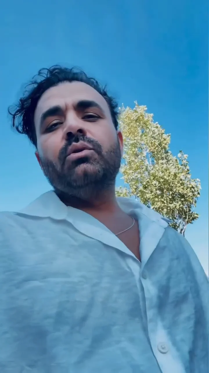 میثم ابراهیمی - دلم تنگته