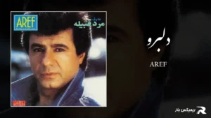 دانلود آهنگ دلبرو از عارف